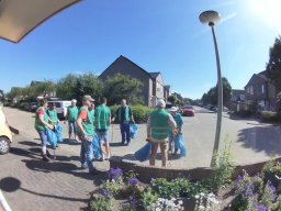 belfeld_groen_8